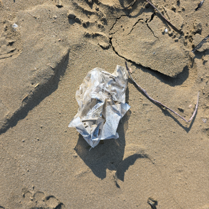  포항시.동네.쓰레기.플로깅