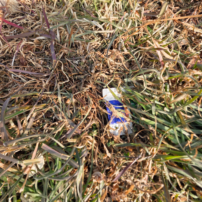  영덕군.동네.쓰레기.플로깅