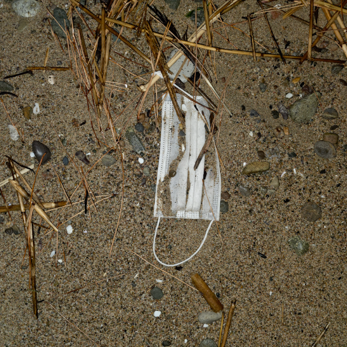  영덕군.동네.쓰레기.플로깅