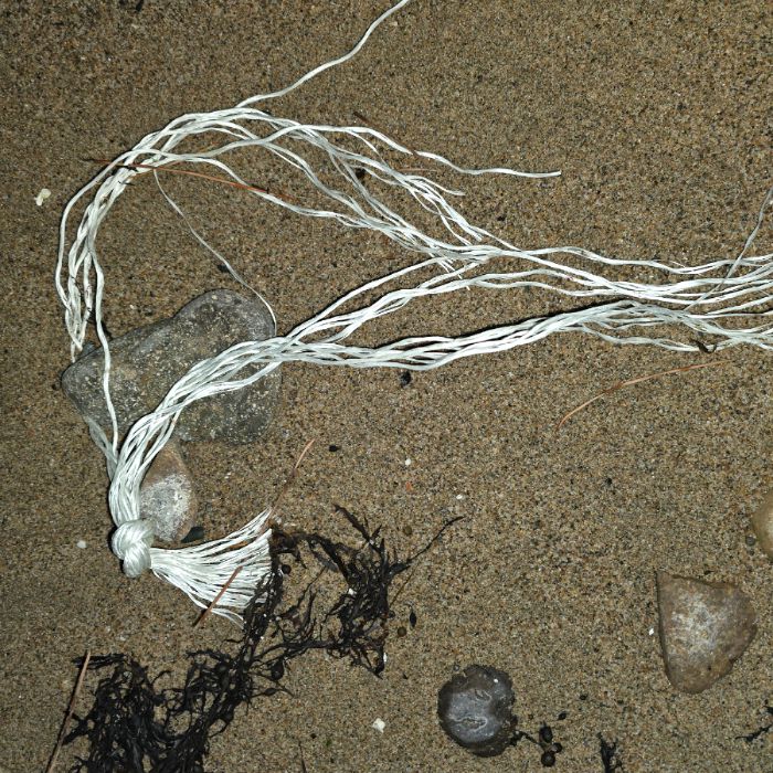  영덕군.동네.쓰레기.플로깅