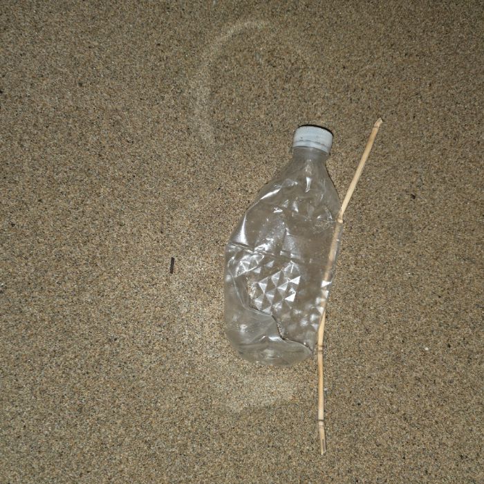  영덕군.동네.쓰레기.플로깅