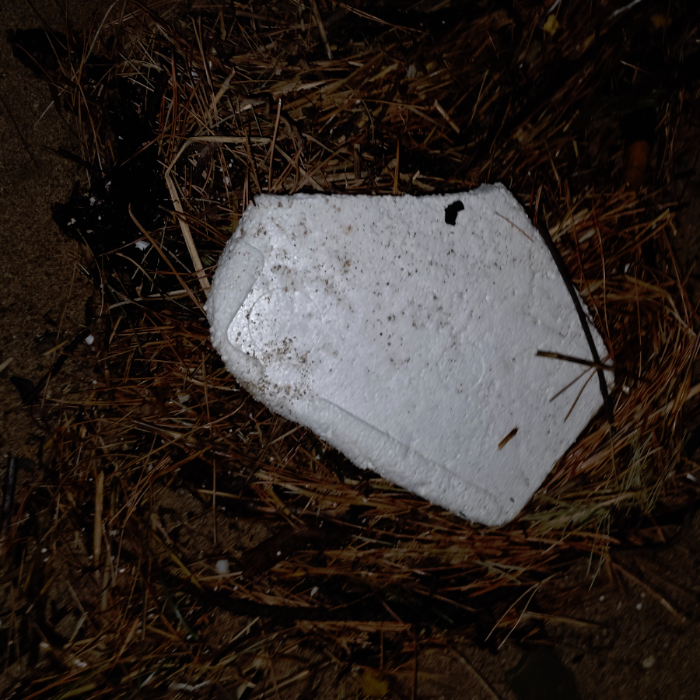  영덕군.동네.쓰레기.플로깅