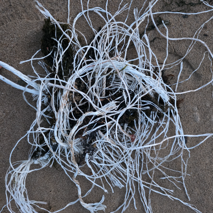  영덕군.동네.쓰레기.플로깅