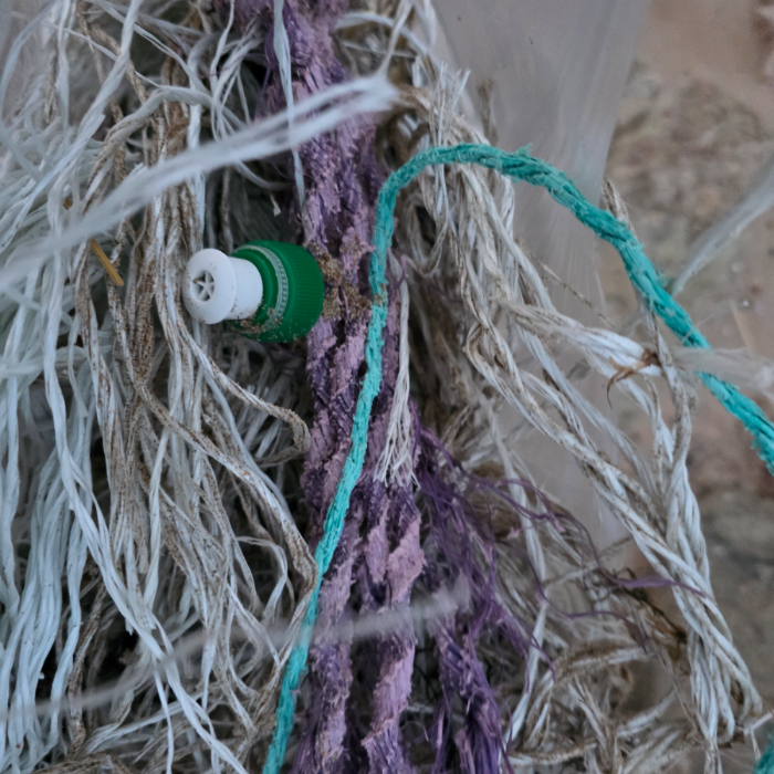  영덕군.동네.쓰레기.플로깅