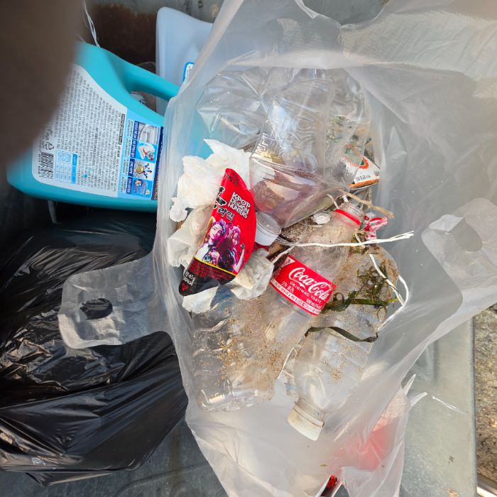  영덕군.동네.쓰레기.플로깅