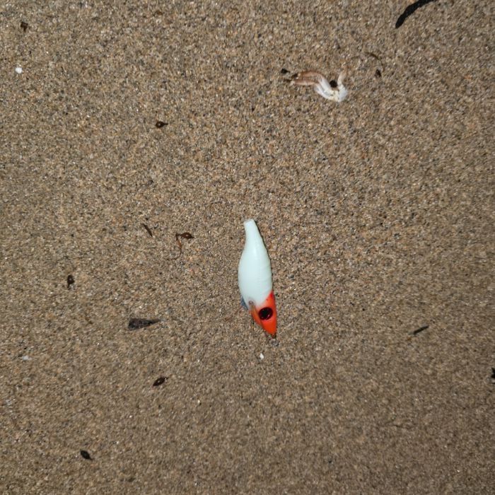  영덕군.동네.쓰레기.플로깅