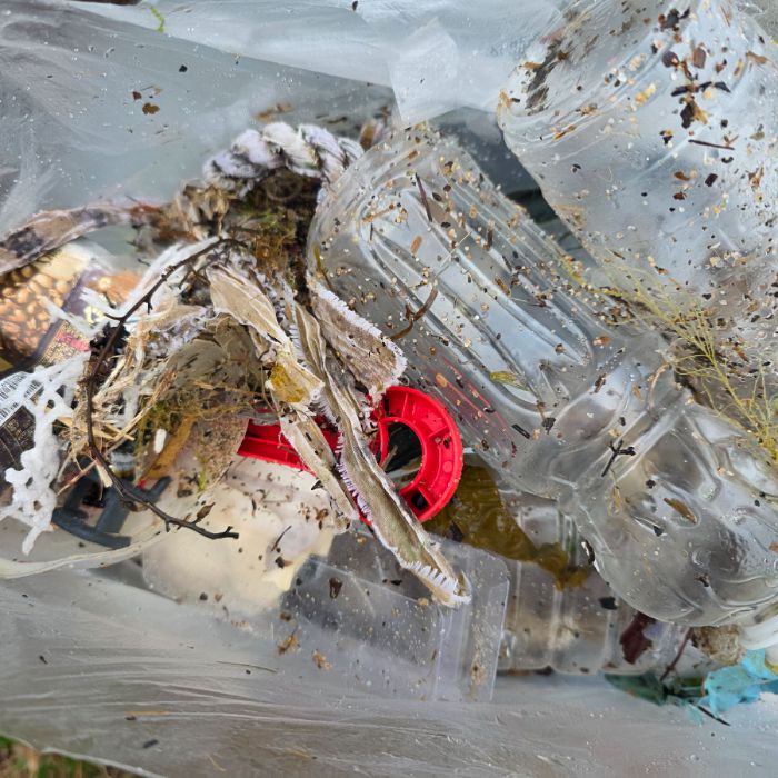  영덕군.동네.쓰레기.플로깅