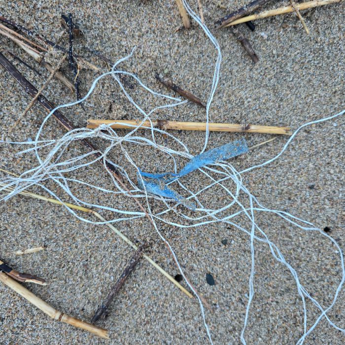  영덕군.동네.쓰레기.플로깅