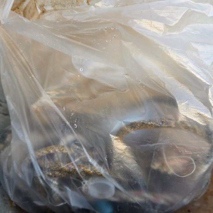  영덕군.동네.쓰레기.플로깅