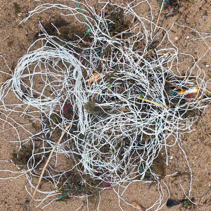  영덕군.동네.쓰레기.플로깅