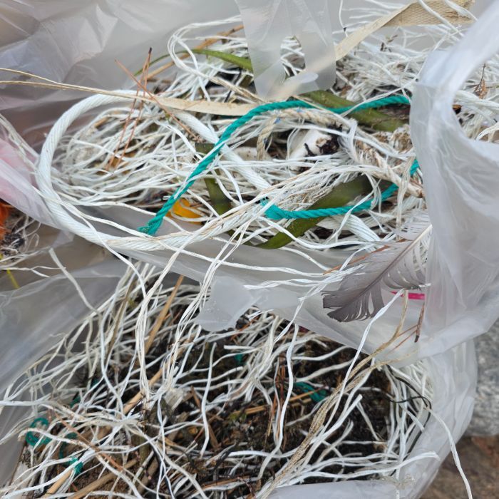  영덕군.동네.쓰레기.플로깅