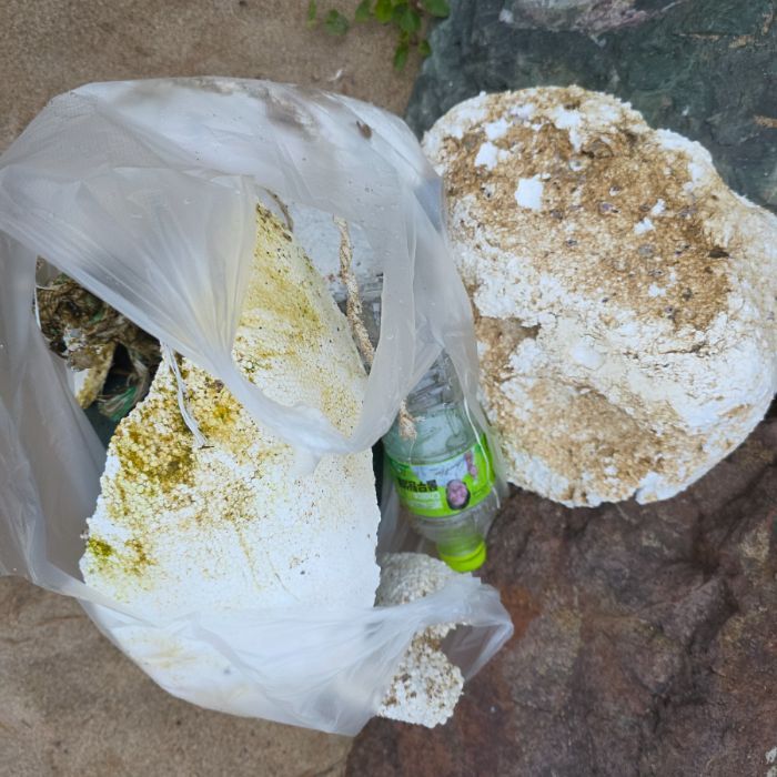  영덕군.동네.쓰레기.플로깅