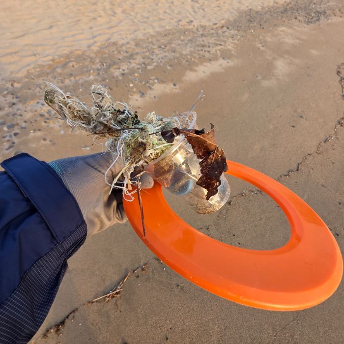  영덕군.동네.쓰레기.플로깅