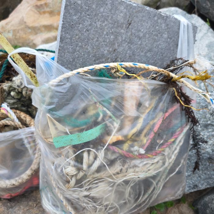  영덕군.동네.쓰레기.플로깅