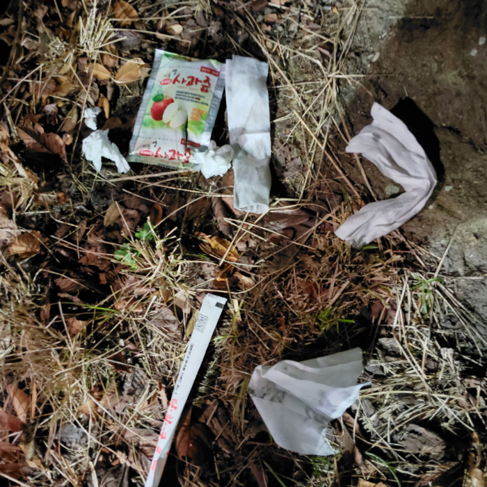  광양시.동네.쓰레기.플로깅