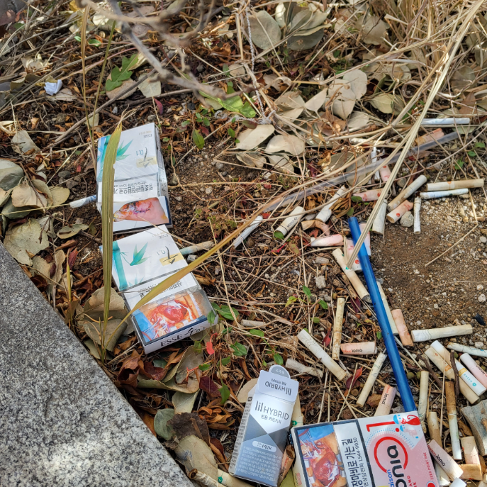  광양시.동네.쓰레기.플로깅