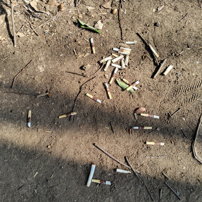  광양시.동네.쓰레기.플로깅