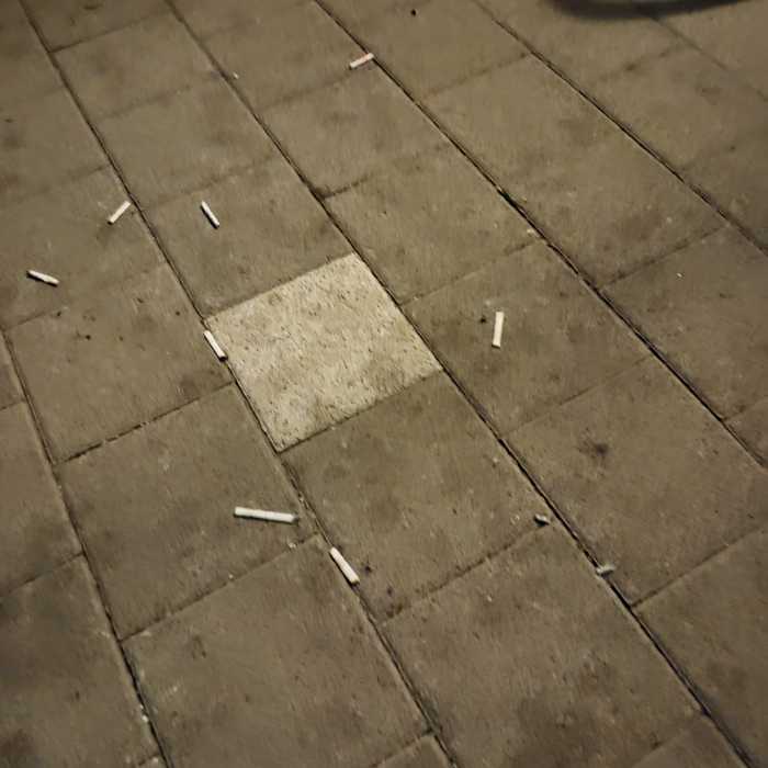  광양시.동네.쓰레기.플로깅