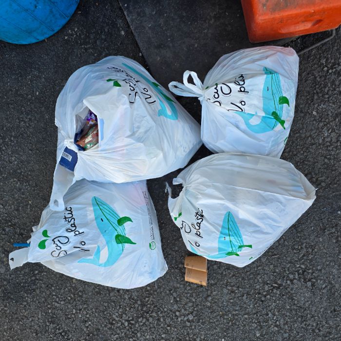  진주시.동네.쓰레기.플로깅