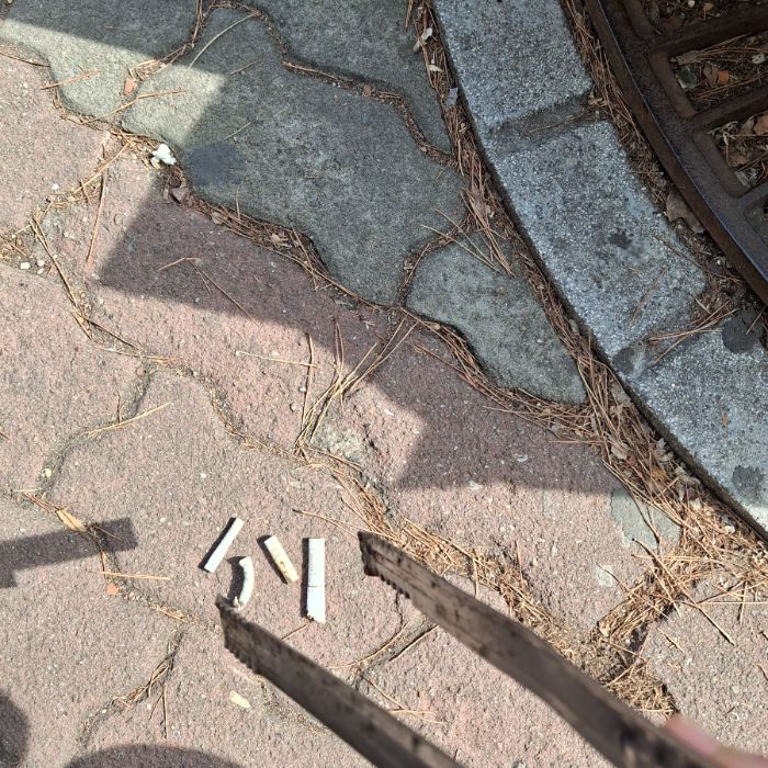 양주시.동네.쓰레기.플로깅