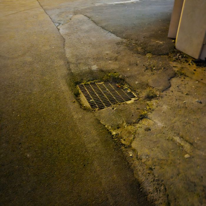  서천군.동네.쓰레기.플로깅