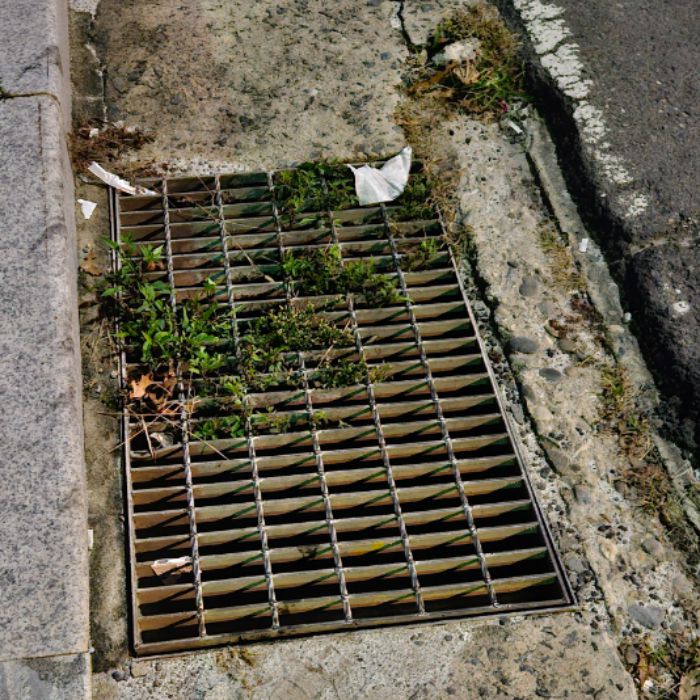  서천군.동네.쓰레기.플로깅