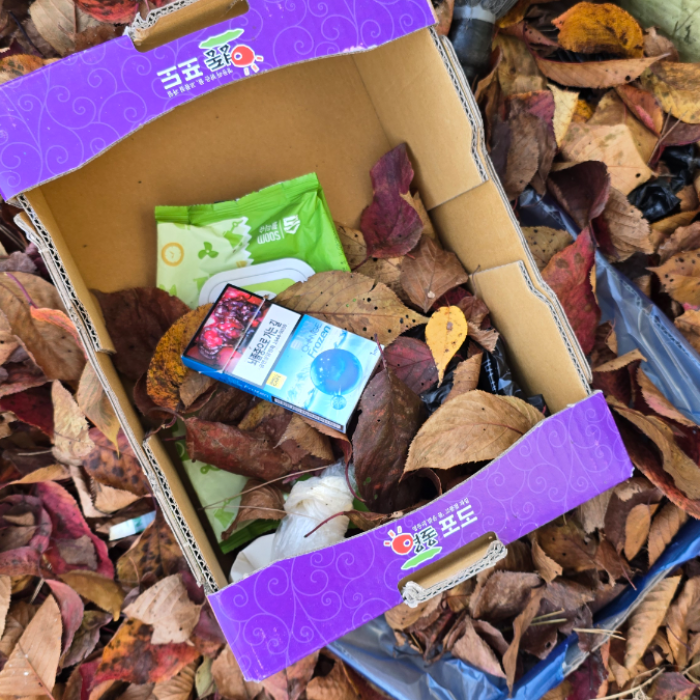  춘천시.동네.쓰레기.플로깅