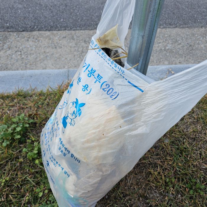  상주시.동네.쓰레기.플로깅