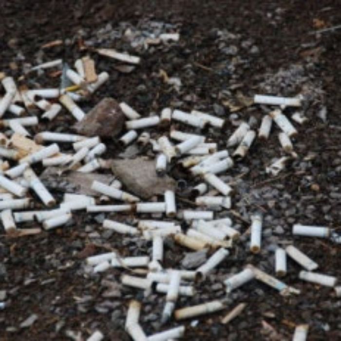  경산시.동네.쓰레기.플로깅