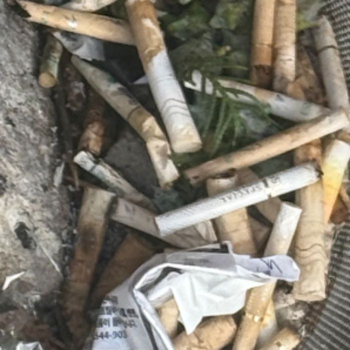  경산시.동네.쓰레기.플로깅