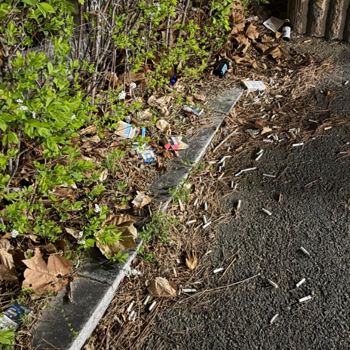  대구북구.동네.쓰레기.플로깅