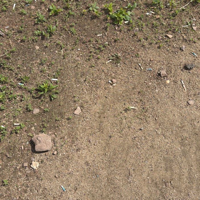  대구북구.동네.쓰레기.플로깅