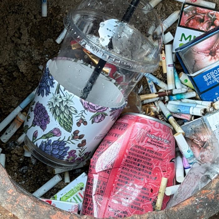  대구북구.동네.쓰레기.플로깅