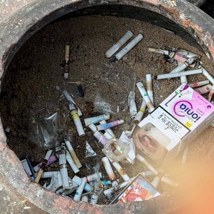  대구북구.동네.쓰레기.플로깅