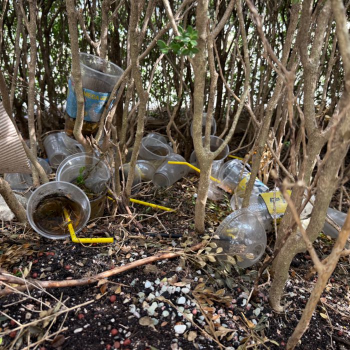  군포시.동네.쓰레기.플로깅