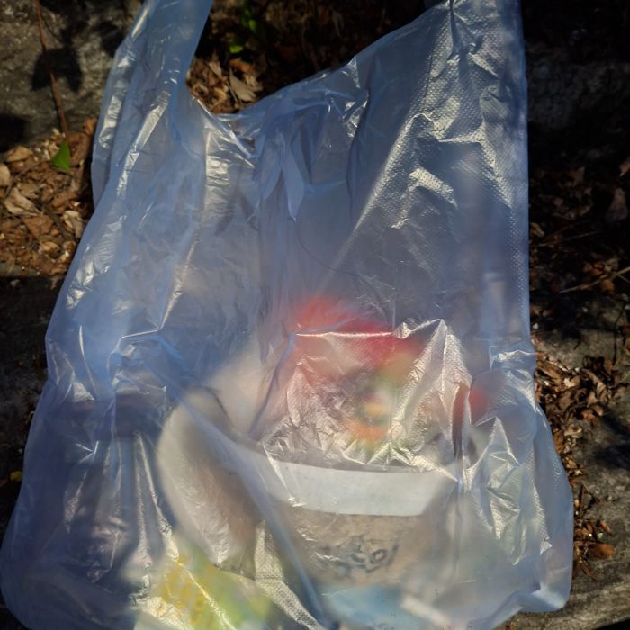  춘천시.동네.쓰레기.플로깅