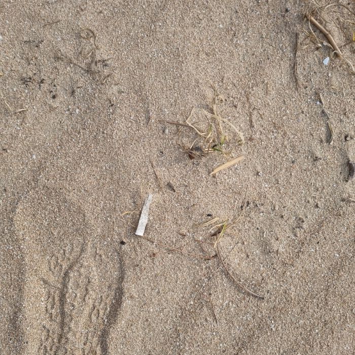  인천중구.동네.쓰레기.플로깅