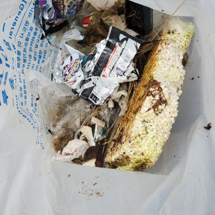  파주시.동네.쓰레기.플로깅