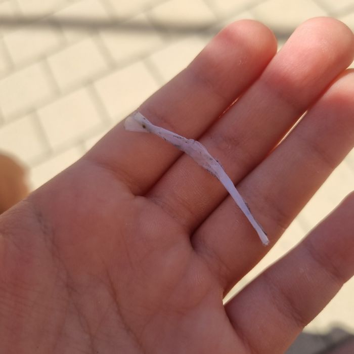  광주시.동네.쓰레기.플로깅