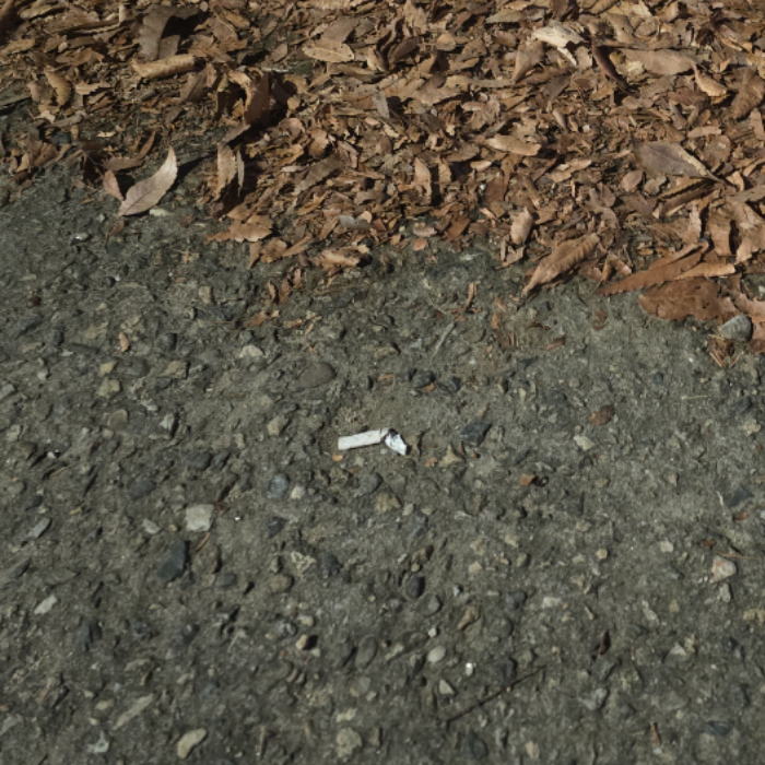  서울송파구.동네.쓰레기.플로깅