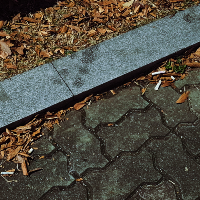  서울송파구.동네.쓰레기.플로깅