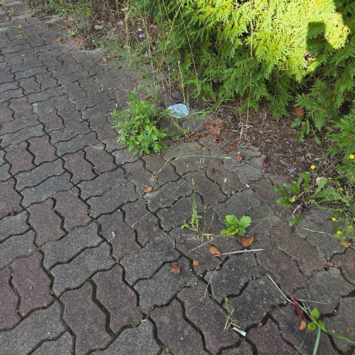  서산시.동네.쓰레기.플로깅