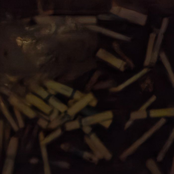  서산시.동네.쓰레기.플로깅