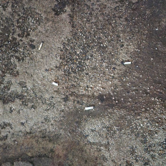  서울강남구.동네.쓰레기.플로깅