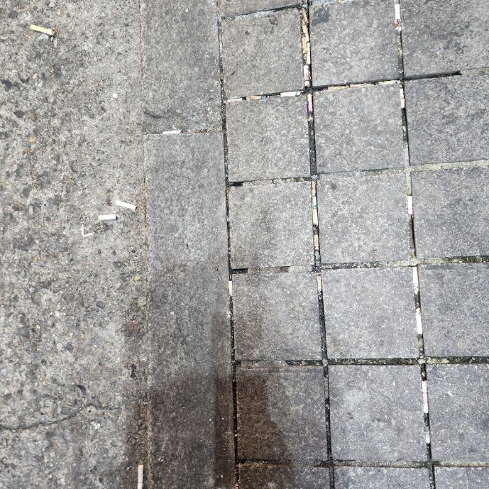  서울강남구.동네.쓰레기.플로깅