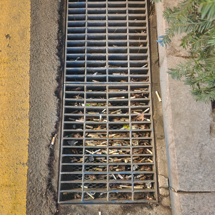  서울강남구.동네.쓰레기.플로깅