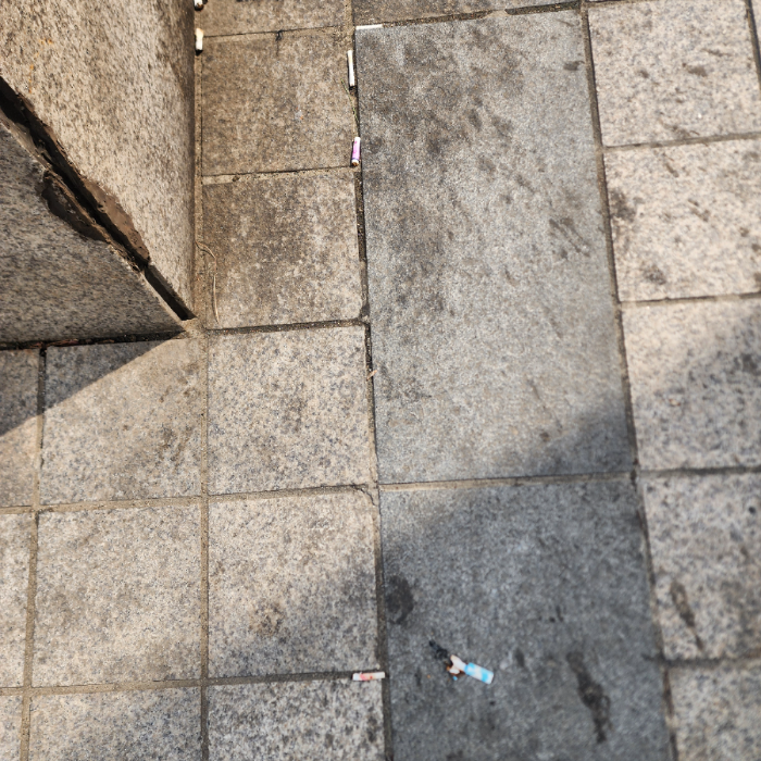  서울강남구.동네.쓰레기.플로깅