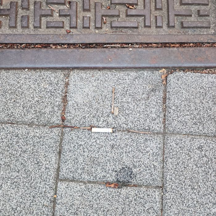  서울송파구.동네.쓰레기.플로깅