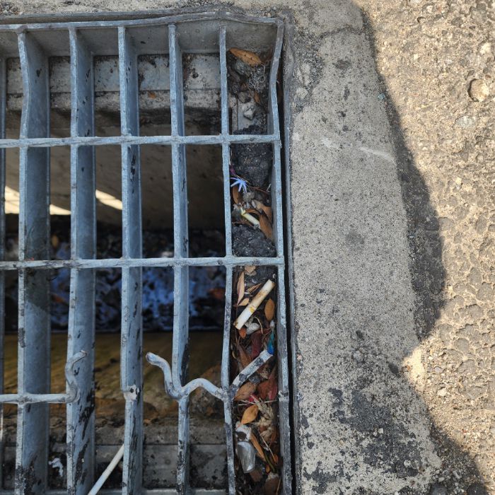  서울강남구.동네.쓰레기.플로깅