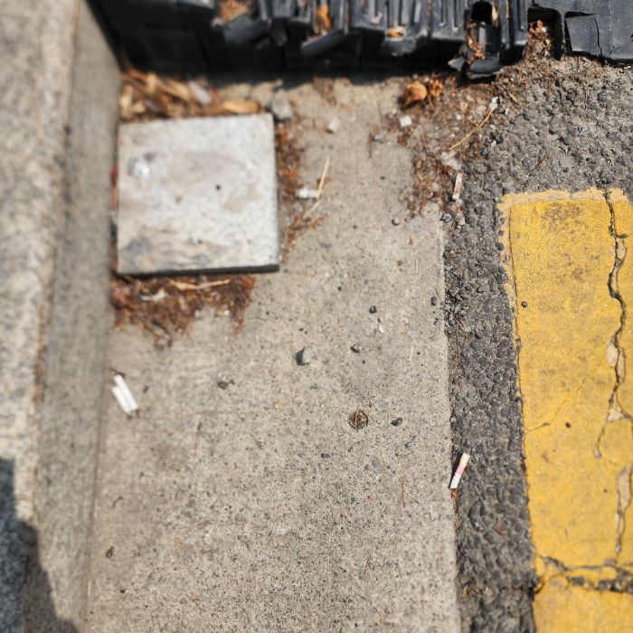  서울강남구.동네.쓰레기.플로깅